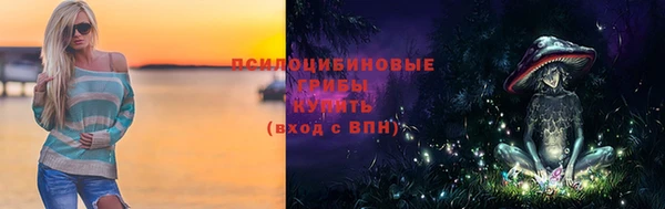 ECSTASY Алексеевка