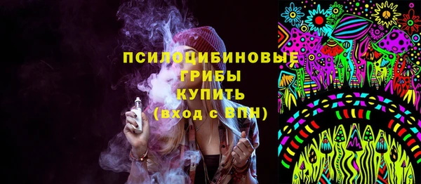 соль ск Алексин