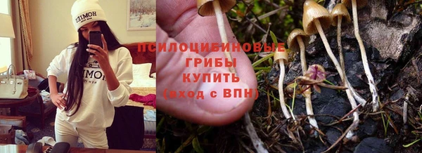 соль ск Алексин