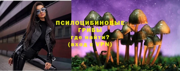 соль ск Алексин